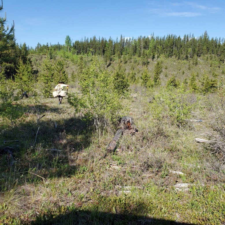 Prince George, British Columbia