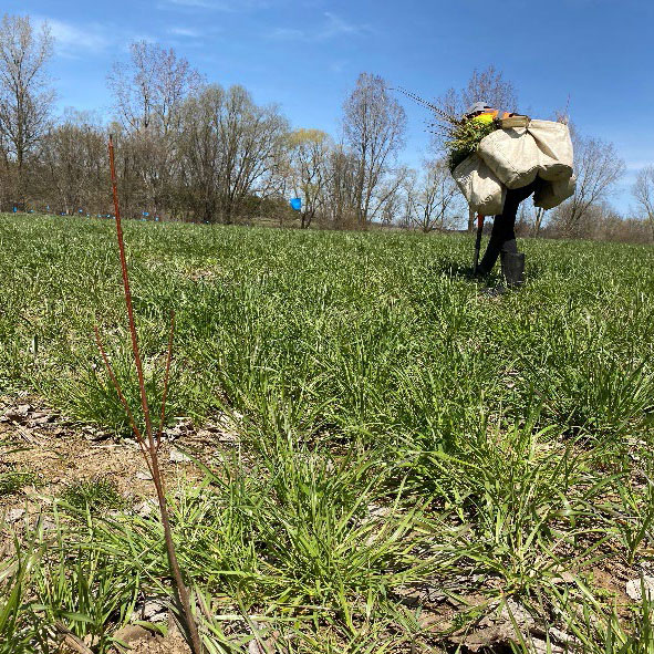 Cataraqui Region Conservation Authority